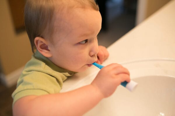 Dr. Brown's Baby's eerste tandenborstel Olifant blauw - Afbeelding 6